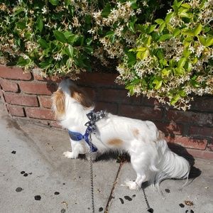 Shoes, Jewelry, Clothes